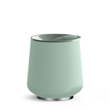 Mint Chip